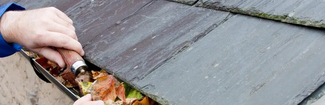 Gutter Maintenace & Repair All Seasons