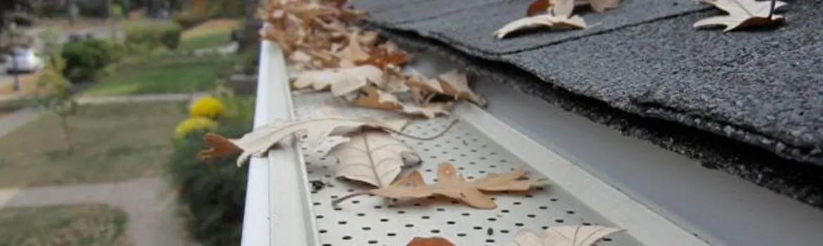 ensure your gutters are kept from leaves